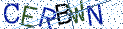 Type the letters shown in the picture