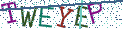 Type the letters shown in the picture