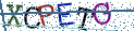 Type the letters shown in the picture