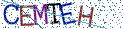 Type the letters shown in the picture
