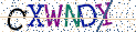 Type the letters shown in the picture