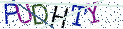 Type the letters shown in the picture
