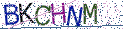 Type the letters shown in the picture