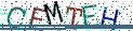 Type the letters shown in the picture