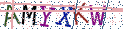 Type the letters shown in the picture