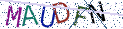 Type the letters shown in the picture