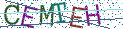 Type the letters shown in the picture