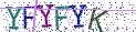 Type the letters shown in the picture