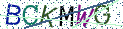 Type the letters shown in the picture