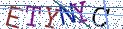 Type the letters shown in the picture