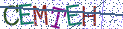 Type the letters shown in the picture