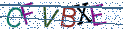 Type the letters shown in the picture