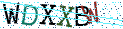 Type the letters shown in the picture