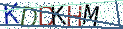 Type the letters shown in the picture