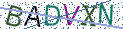 Type the letters shown in the picture
