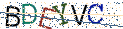 Type the letters shown in the picture