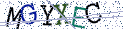 Type the letters shown in the picture