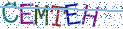 Type the letters shown in the picture