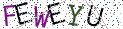 Type the letters shown in the picture