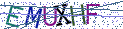 Type the letters shown in the picture