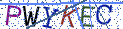Type the letters shown in the picture
