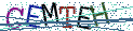 Type the letters shown in the picture