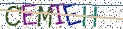 Type the letters shown in the picture