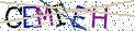 Type the letters shown in the picture