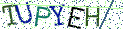 Type the letters shown in the picture
