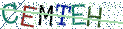 Type the letters shown in the picture